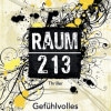 Raum 213 – Gefühlvolles Grauen (Amy Crossing)