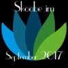 Die Schattenkämpferin liest mit der Skoobe-App (September 2017)